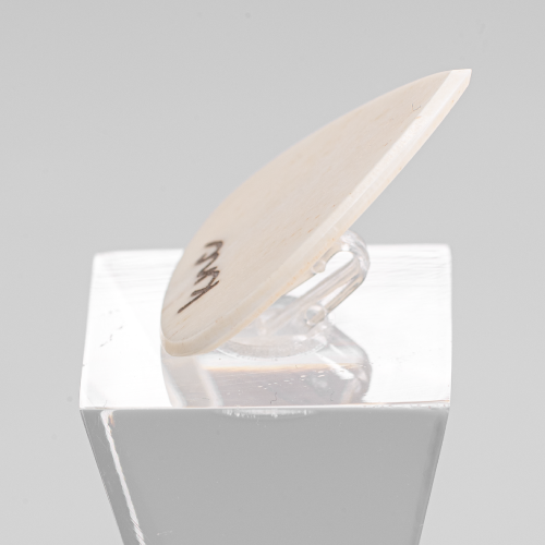 A personalized 'Lil One' bone pick with a custom name laser-engraved on the small surface.
