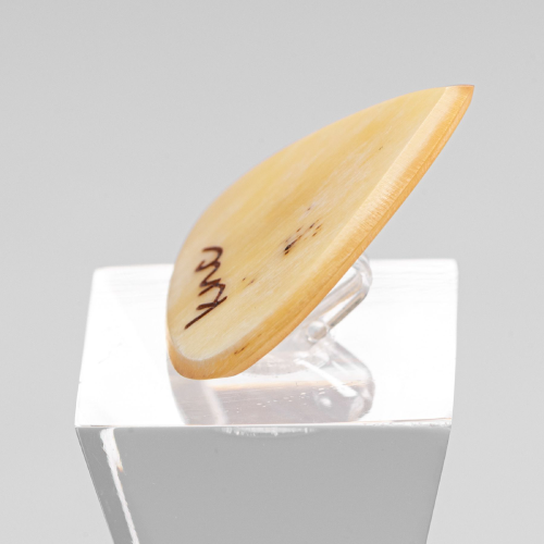 A custom horn pick that will give warmer tones