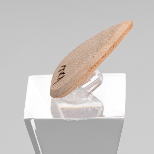 A macro close-up of the Maple pick, detailing the natural, light wood grain (e.g., bird's eye figure).