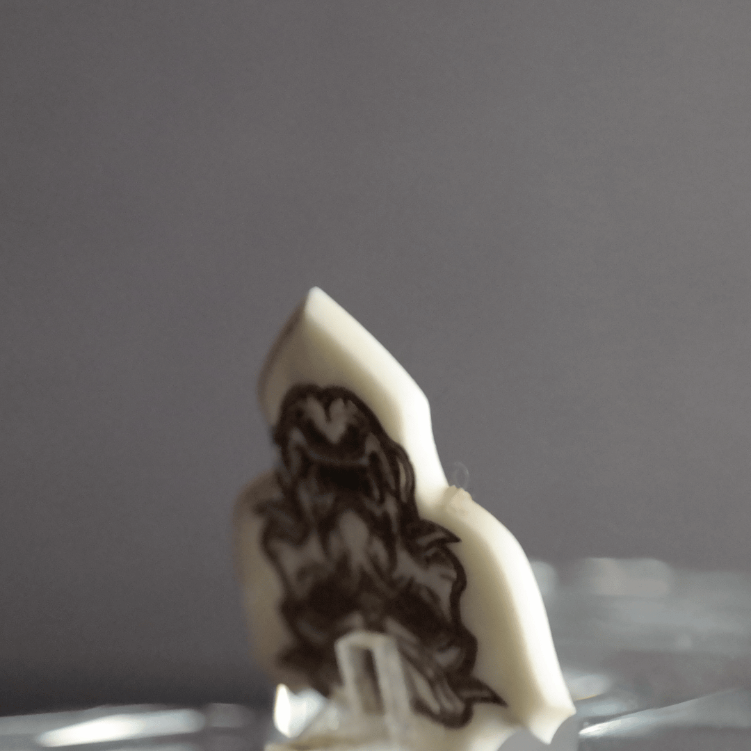 Close-up macro detail of the Samurai pick, showing the engraved lines of the Katana hilt and blade on the natural bone material.